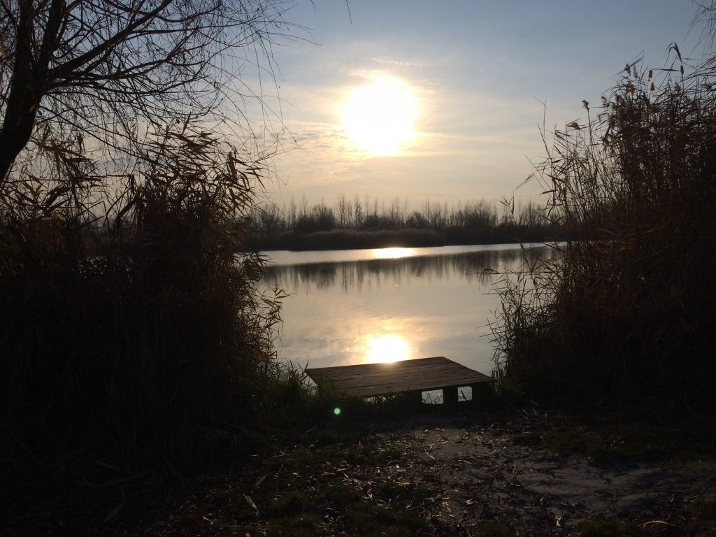 A hátam mögött lévő tó a novemberi lemenő napsütésben
